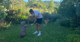 Léo dog sitter à PARIS 17 75017_0