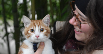 albanne pet sitter à ST HERBLAIN 44800_1