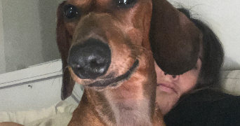 adele pet sitter à Paris 75011_2