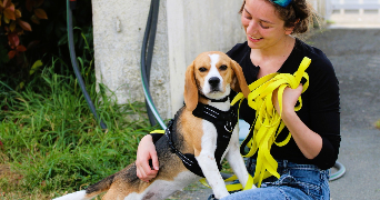 louna pet sitter à LA ROCHELLE 17000_3