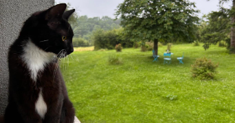 nora pet sitter à COMMENTRY 03600_1