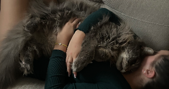 elsa pet sitter à VILLEPREUX 78450_10