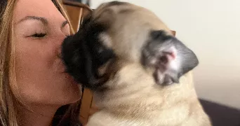wendy pet sitter à MENTON 06500