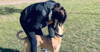 morgane pet sitter à BUC 78530_3
