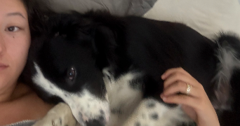 kazuhi pet sitter à MARSEILLE 07 13007_1