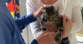 louison pet sitter à DIJON 21000_1