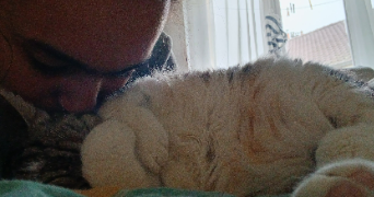 noor pet sitter à VILLEMOMBLE 93250_2