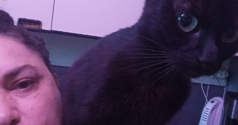 ludivine pet sitter à BENODET 29950_5