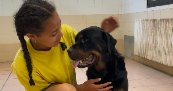salma pet sitter à Cluny 71250_2