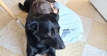 Manon pet sitter à TOULON 83200
