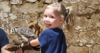 laura pet sitter à VERNOUILLET 78540_3