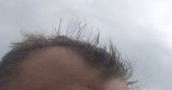 arnaud dog sitter à YSSINGEAUX 43200