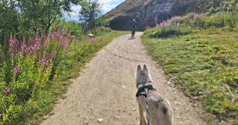 noémie pet sitter à BELLE ISLE EN TERRE 22810_3