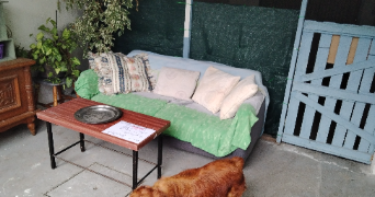 renquin  pet sitter à BEUGNIES 59216_7