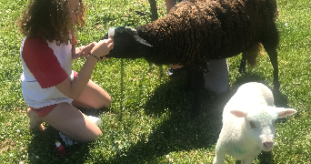 cécile pet sitter à PAU 64000_3