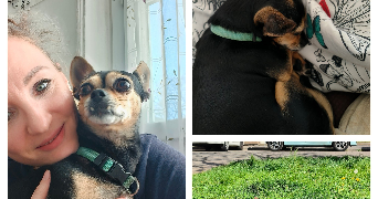 larisa pet sitter à VILLE LA GRAND 74100_1