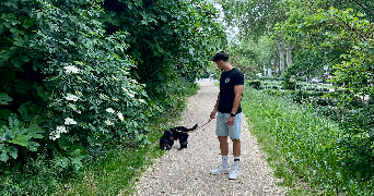 romain pet sitter à TOULOUSE 31300_1