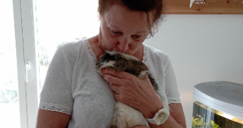 annie pet sitter à CHALON SUR SAONE 71100_0