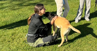 eloïse pet sitter à ST PIERRE LA GARENNE 27600_1