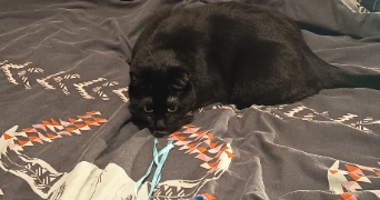 cloé pet sitter à PISSOS 40410_3