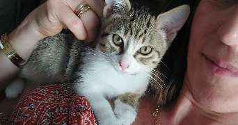 sandrine pet sitter à MOISSY CRAMAYEL 77550_7