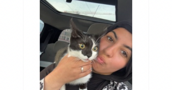 nassima pet sitter à MARSEILLE 14 13014_0