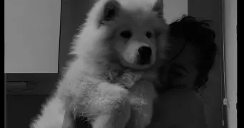betty pet sitter à GARDANNE 13120