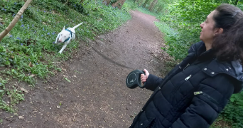 julie pet sitter à ARGENTEUIL 95100_0