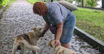 elena pet sitter à PARIS 10 75010_8