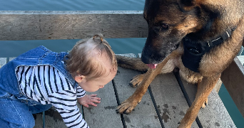 alexiane pet sitter à BAGNOLS SUR CEZE 30200_0