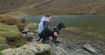 lisa pet sitter à ASTAFFORT 47220_7