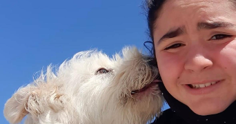 hiba pet sitter à ST QUENTIN 02100_3