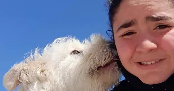 hiba pet sitter à ST QUENTIN 02100