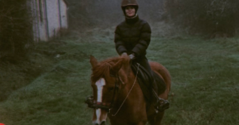 hallidays pet sitter à BELLEVILLE SUR LOIRE 18240_6