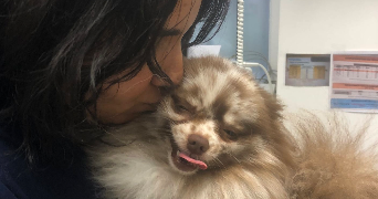 noemie pet sitter à BOULOGNE BILLANCOURT 92100_3