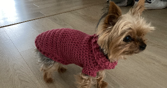 mélanie pet sitter à YERRES 91330_3