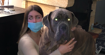 léna pet sitter à ROISSY EN BRIE 77680_2
