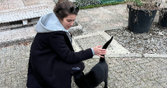 jodie pet sitter à COLOMBES 92700_2