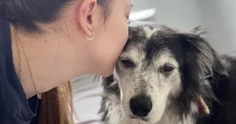 michaela pet sitter à ALLAUCH 13190