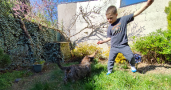 veronique pet sitter à METZ 57000_5