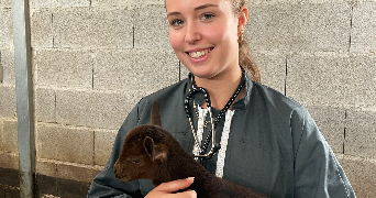 ludivine pet sitter à ECKBOLSHEIM 67201_2