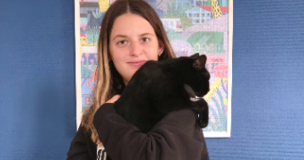 sandy pet sitter à LYS HAUT LAYON 49560_3