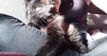 julia pet sitter à STE MAXIME 83120_7