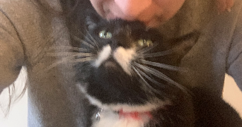 marion pet sitter à WAMBRECHIES 59118_3