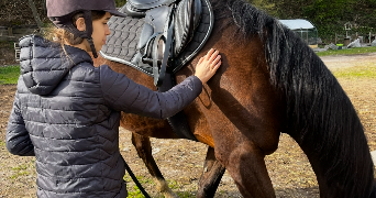 charlotte pet sitter à CHANTRAINE 88000_1