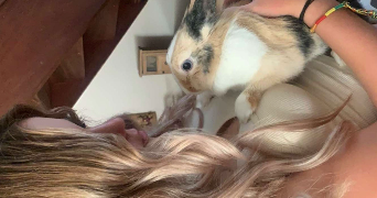 elisa pet sitter à Montpellier 34000_4