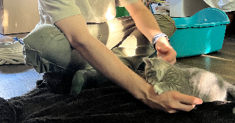 mathis pet sitter à Rouen 76000_1