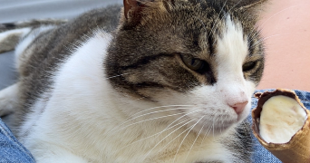 anais pet sitter à LYON 01 69001_1