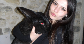 lya pet sitter à MAISSE 91720_2