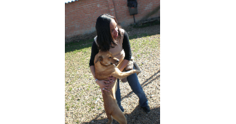 delphine pet sitter à BORDEAUX 33300_1